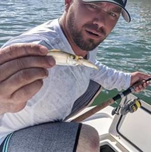 Meet your Posher, Bill